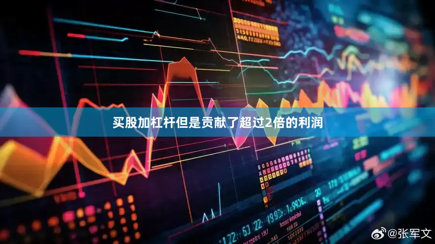 买股加杠杆但是贡献了超过2倍的利润