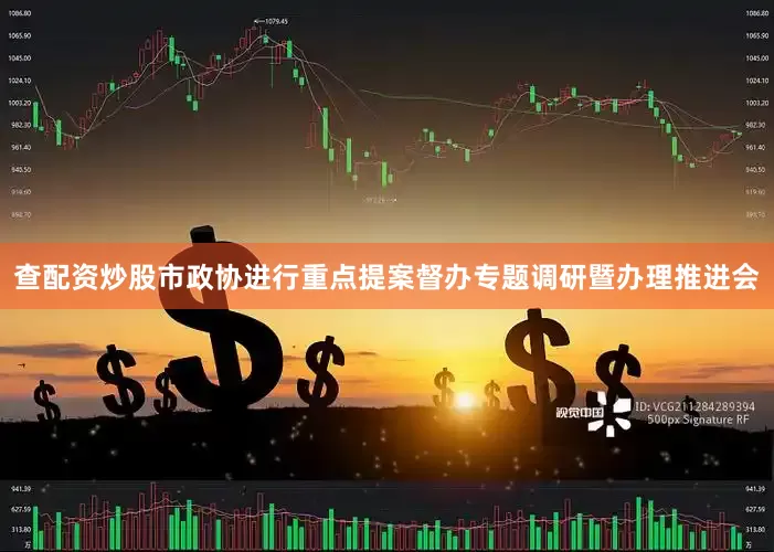 查配资炒股市政协进行重点提案督办专题调研暨办理推进会