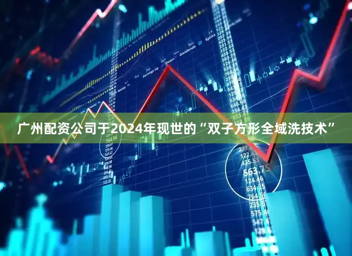 广州配资公司于2024年现世的“双子方形全域洗技术”