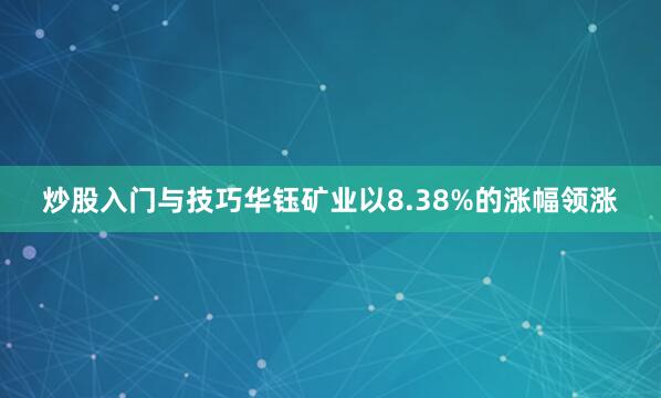 炒股入门与技巧华钰矿业以8.38%的涨幅领涨