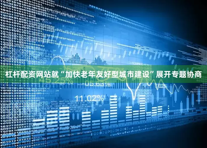 杠杆配资网站就“加快老年友好型城市建设”展开专题协商