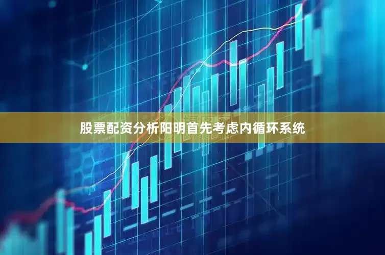 股票配资分析阳明首先考虑内循环系统