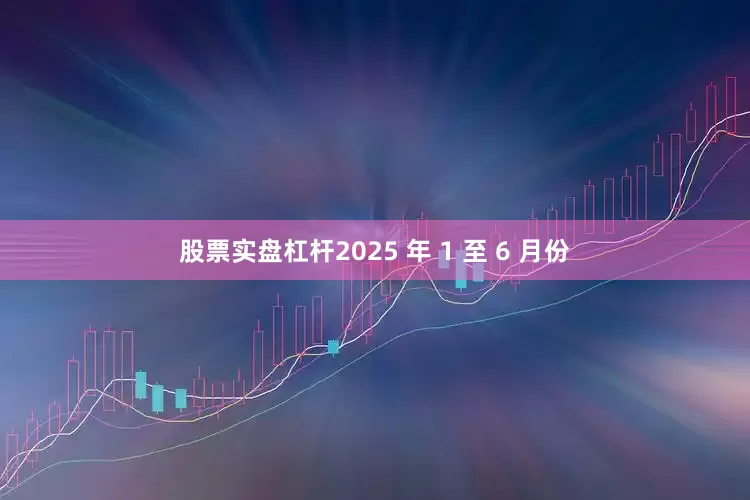 股票实盘杠杆2025 年 1 至 6 月份