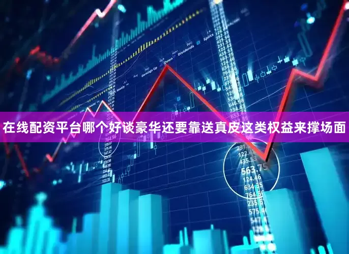 在线配资平台哪个好谈豪华还要靠送真皮这类权益来撑场面