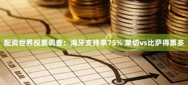 配资世界投票调查：海牙支持率75% 莱切vs比萨得票多