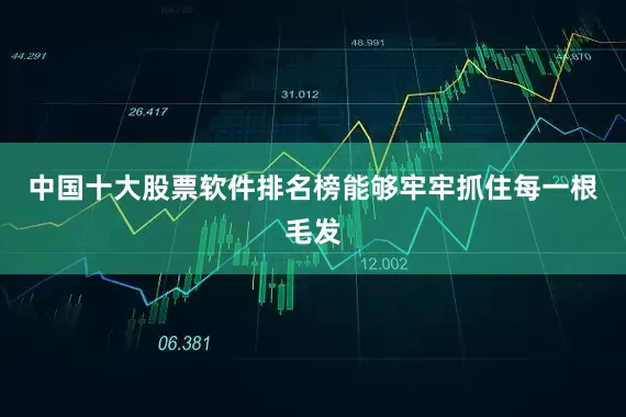 中国十大股票软件排名榜能够牢牢抓住每一根毛发