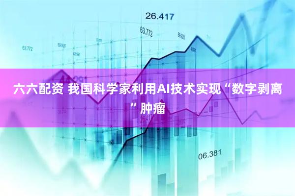 六六配资 我国科学家利用AI技术实现“数字剥离”肿瘤