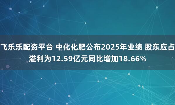 飞乐乐配资平台 中化化肥公布2025年业绩 股东应占溢利为12.59亿元同比增加18.66%