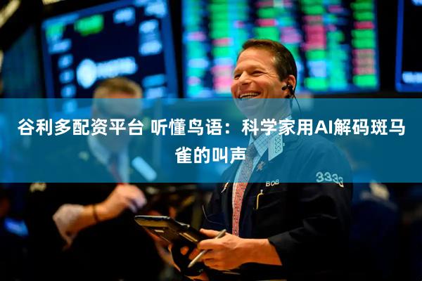 谷利多配资平台 听懂鸟语：科学家用AI解码斑马雀的叫声